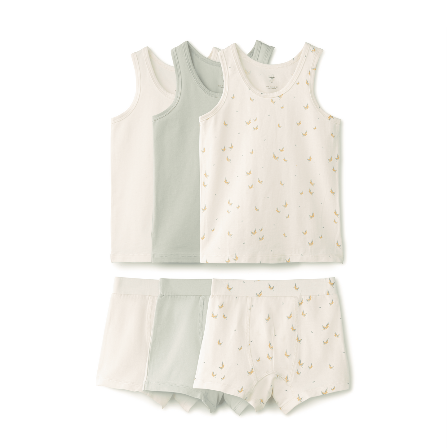 Boy's Undies Set-Shorts